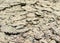 dry draught cracked grey soil terrain texture summer