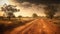 Dry and Dusty Australian Road under the Sun