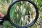 dry ears of oats growing in the garden are visible in enlarged form through a black magnifier