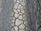 Dry earth covered with small cracks as drought and global warming concept. Cracked clay soil texture or ground pattern with cracks