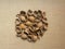 Dry Empty Walnut shells