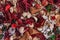 Dry field flowers. Top view- flat still life