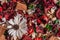 Dry field flowers. Top view- flat still life