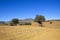 Dry fields and olive groves of Andalucia