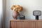 Dry flowers in brown pottery vase next to old vintage camera and industrial lamp on retro wooden cabinet