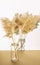 Dry fluffy twigs of common reed or pampas grass in a glass hand-made vase on a white background