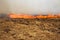 Dry forest and steppe fires completely destroy fields and steppes during severe drought. Disaster causes regular damage to the