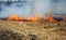 Dry forest and steppe fires completely destroy fields and steppes during severe drought. Disaster causes regular damage to the