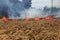 Dry forest and steppe fires completely destroy fields and steppes during severe drought. Disaster causes regular damage to the