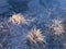 Dry frosted grassland