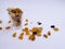 Dry Fruits like Raisin, Kishmish, Cashew and Almond filled in a transparent glass and scattered on isolated white background