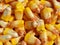 Dry gold sweet corn texture, corn background