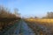 Dry golden grasses and footpath