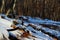 Dry golden leaves under the snow. An ordinary small forest road where snow has fallen that goes through the forest. Snow and dry