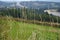 Dry grass on the background of road construction, autumn landscape. construction of bridges, improvement of the road surface