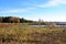 Dry grass on the banks of pond, reeds, pine forest on a hill, sunny blue sky