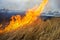 Dry grass burns in the steppe.