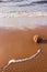 Dry grass clump that is washed by sea wave in a sunny day. Beautiful sea landscape with sand and waves.