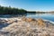 Dry grass is covered with hoarfrost. Lake shore with thawed water and ice patches on a frosty spring day. Sunny day with clear sky