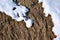 Dry grass covered with white melting snow, natural background