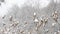 Dry grass cowered with snow, nature background