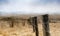 Dry grass field at Hearst San Simeon State Park