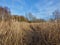 Dry Grass Field With Pathway Blue Sky