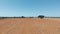 Dry grass in the fields and pastures of Portugal.