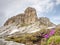 Dry grass and heather bushes at mountain trekking path.