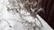 Dry grass in the snow on the background of a MODERN BROWN metal siding fence, winter landscape