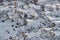 Dry grass under white clear snow on slopes at sunset, prickly grass peek out from under snow, mountains is on background