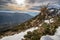 Dry grass under white clear snow on slopes at sunset, prickly plant, snowy hill, grass peek out from under snow