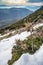 Dry grass under white clear snow on slopes at sunset, prickly plant, snowy hill, grass peek out from under snow