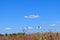 Dry grass, wildflowers, blue sky