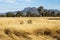 Dry grassland landscape in the bush with Grampians mountains in the background, Victoria, Australia
