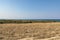 Dry Greek Barren Lands Landscape