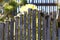 Dry grey bamboo fence