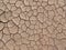 Dry ground texture