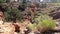 Dry Gully in Capitol Reef National Park