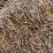 Dry hay background rural dark gray, stock food for livestock for the winter