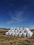 Dry hay bale in white plastic bag, Agriculture field on sunny sky,Iceland rural nature farm land,Straw on meadow,Wheat yellow gold