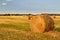 Dry hay stacks on countryside field during harvest - sunset