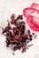 Dry hibiscus tea and a lively pink rose