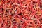 Dry hot chillis background. food ingredient