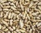 Dry Inshell peanuts texture. Food