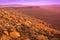 Dry karoo landscape