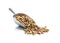 Dry kibble animal food. Dried food for cats or dogs in scoop