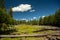 Dry Lake Bed Filled With Downed Trees In The Backcountry of Hetch Hetchy In Yosemite