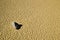 Dry lake feature with sailing stones