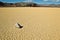 Dry lake feature with sailing stones